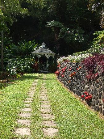 Honolua Bay