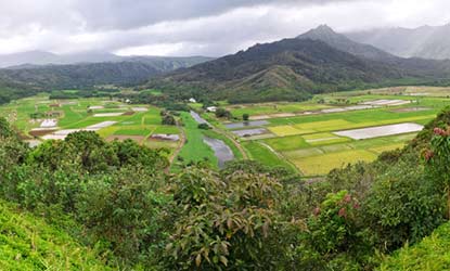 Honolua Bay