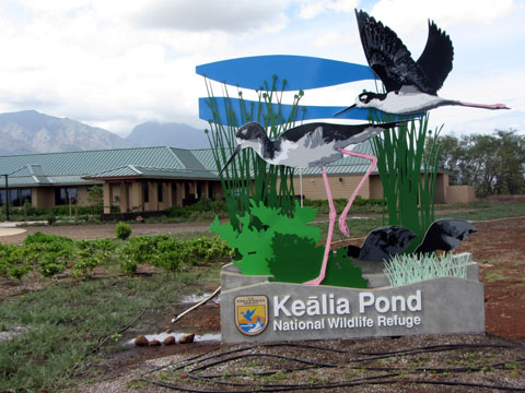 Kealia Pond National Wildlife Preserve